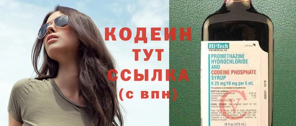 индика Киреевск
