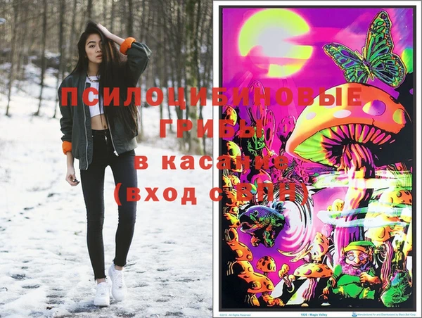 круглые Карпинск