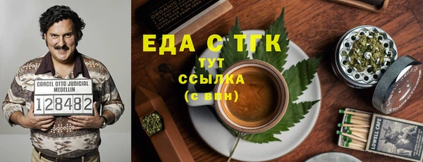 индика Киреевск