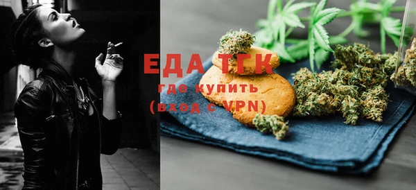 индика Киреевск