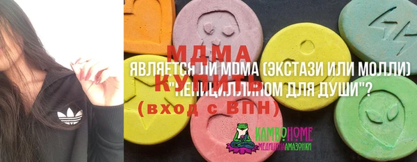 индика Киреевск