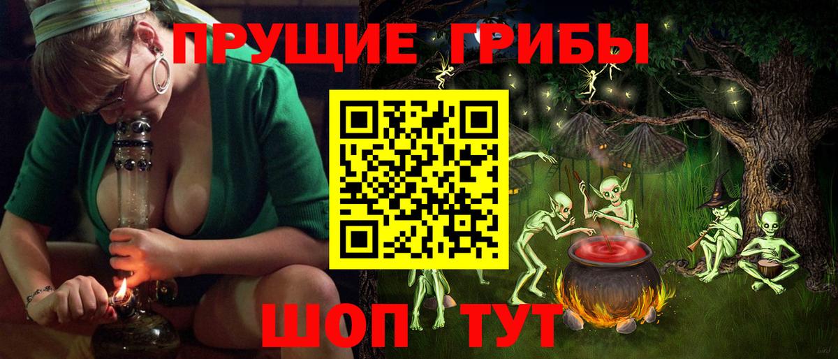 Верхняя Пышма  Галлюциногенные грибы Magic Shrooms  Вход с VPN  Галлюциногенные грибы GOLDEN TEACHER 